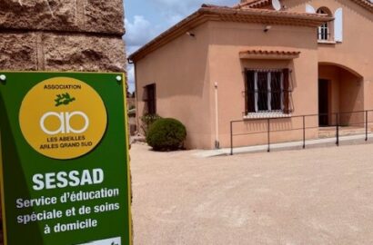 Article du 06 Juin 2025 - Les Abeilles